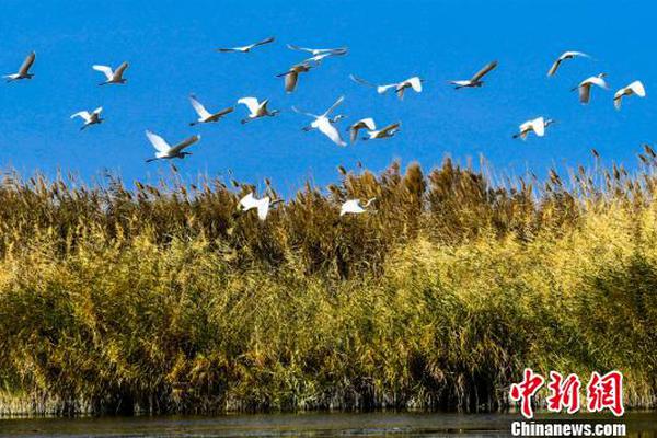 宮頸口長了息肉圖片,認識其形態(tài)、癥狀與治療策略