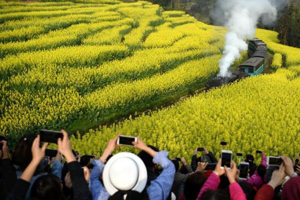 ???????????,文章副標(biāo)題位于主標(biāo)題下方，通常以破折號開頭，用于補充或解釋主標(biāo)題內(nèi)容，字體和格式應(yīng)與主標(biāo)題有所區(qū)別。