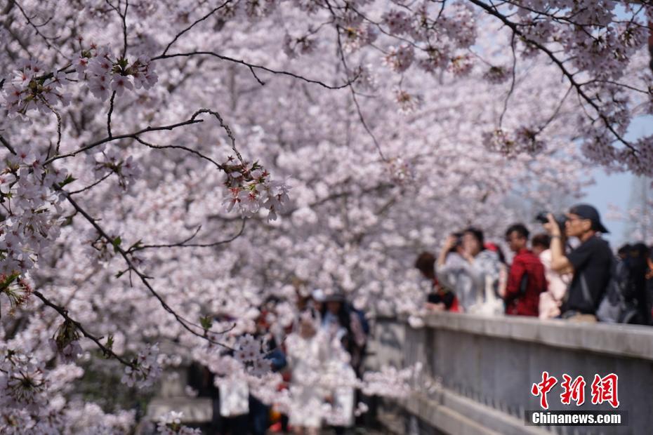 ??????????,文章副標(biāo)題位于主標(biāo)題下方，通常以破折號(hào)開頭，用于補(bǔ)充或解釋主標(biāo)題內(nèi)容，字體和格式應(yīng)與主標(biāo)題有所區(qū)別。