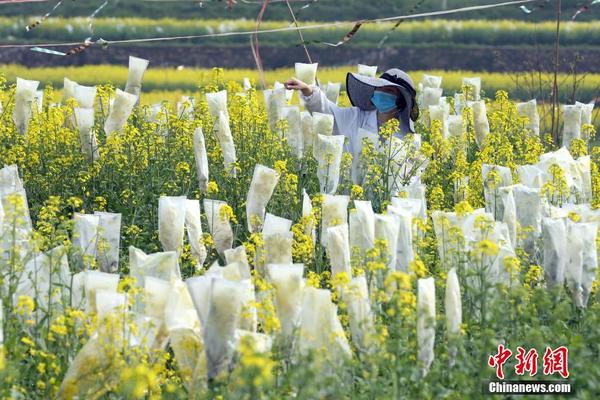 ?????????,文章副標(biāo)題位于主標(biāo)題下方，通常以破折號(hào)開頭，用于補(bǔ)充或解釋主標(biāo)題內(nèi)容，字體和格式應(yīng)與主標(biāo)題有所區(qū)別。