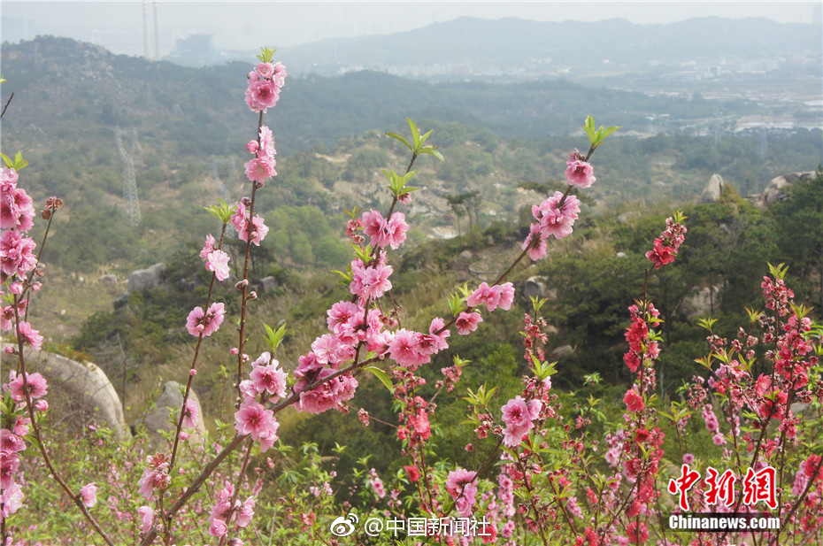 羊毛衫會縮水嗎