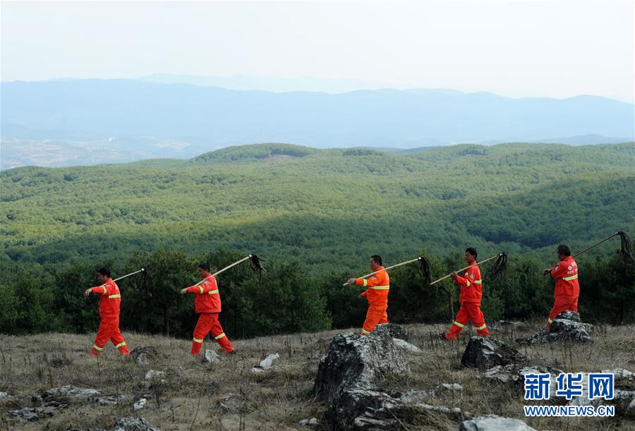 ????????,文章副標(biāo)題位于主標(biāo)題下方，通常以破折號(hào)開頭，用于補(bǔ)充或解釋主標(biāo)題內(nèi)容，字體和格式應(yīng)與主標(biāo)題有所區(qū)別。