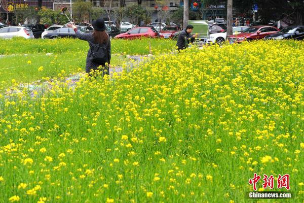 也門胡塞裝備宣告康復(fù)對(duì)以色列船舶的沖擊