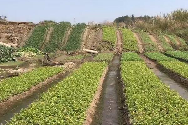 大會邀請函模板