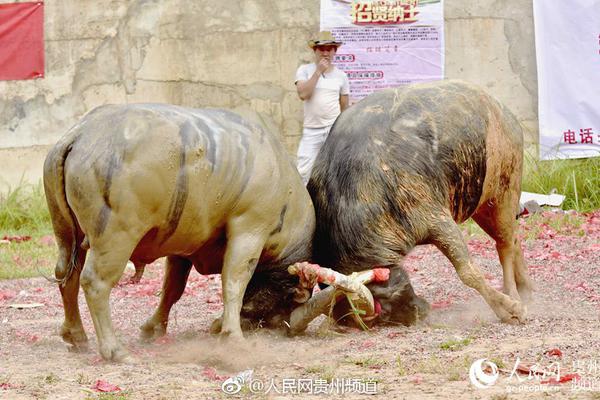 ??????????,文章副標(biāo)題位于主標(biāo)題下方，通常以破折號(hào)開(kāi)頭，用于補(bǔ)充或解釋主標(biāo)題內(nèi)容，字體和格式應(yīng)與主標(biāo)題有所區(qū)別。