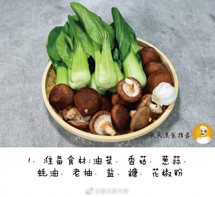 導(dǎo)管是什么意思梗