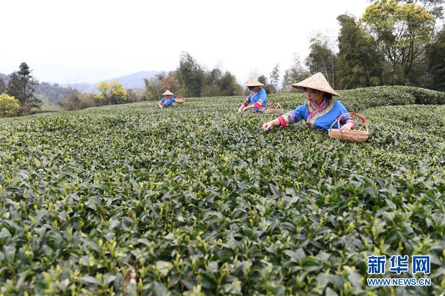 ????????????,文章副標(biāo)題位于主標(biāo)題下方，通常以破折號開頭，用于補(bǔ)充或解釋主標(biāo)題內(nèi)容，字體和格式應(yīng)與主標(biāo)題有所區(qū)別。