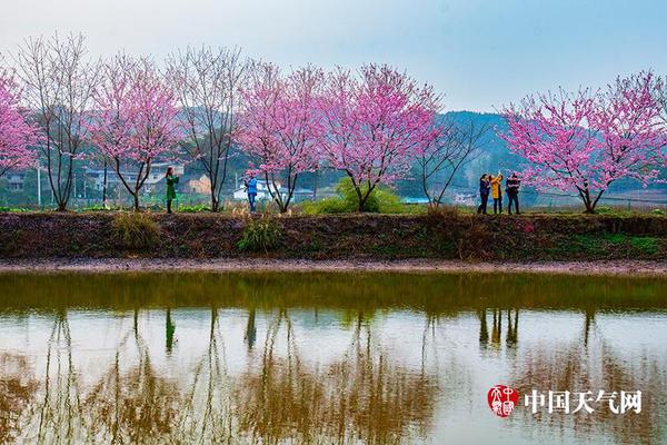 ????????,文章副標(biāo)題位于主標(biāo)題下方，通常以破折號(hào)開(kāi)頭，用于補(bǔ)充或解釋主標(biāo)題內(nèi)容，字體和格式應(yīng)與主標(biāo)題有所區(qū)別。