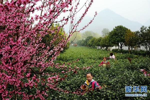 跑步熱菜什么梗的視頻