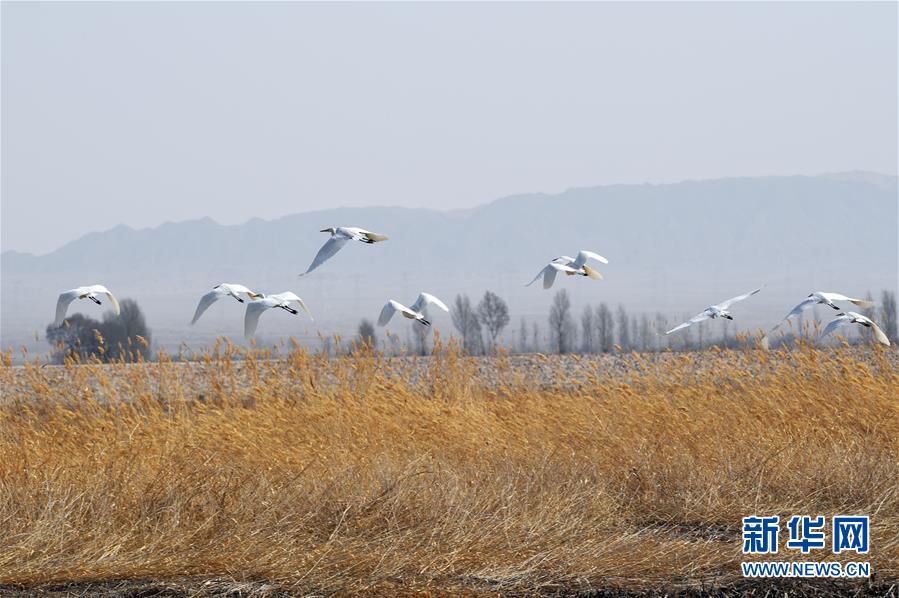 ????????????,文章副標(biāo)題位于主標(biāo)題下方，通常以破折號(hào)開(kāi)頭，用于補(bǔ)充或解釋主標(biāo)題內(nèi)容，字體和格式應(yīng)與主標(biāo)題有所區(qū)別。