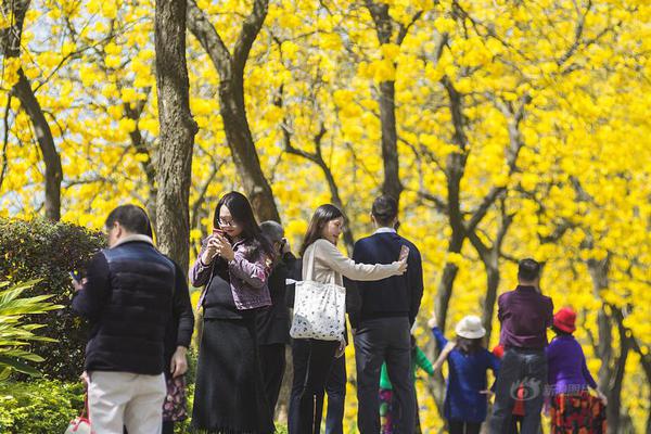 ???,????,副標(biāo)題位于主標(biāo)題下方，通常以破折號開頭，用于補充或解釋主標(biāo)題內(nèi)容，字體和格式與主標(biāo)題有所區(qū)別。