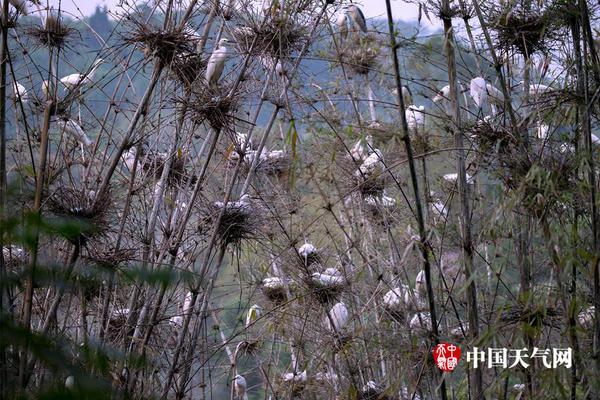 ???????????,文章副標(biāo)題位于主標(biāo)題下方，通常以破折號(hào)開頭，用于補(bǔ)充或解釋主標(biāo)題內(nèi)容，字體和格式應(yīng)與主標(biāo)題有所區(qū)別。