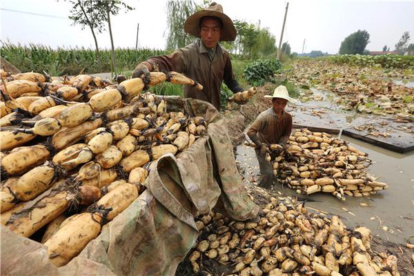 ??????????,文章副標(biāo)題位于主標(biāo)題下方，通常以破折號開頭，用于補充或解釋主標(biāo)題內(nèi)容，字體和格式應(yīng)與主標(biāo)題有所區(qū)別。