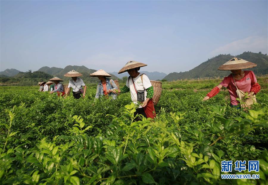 ???????????,文章副標(biāo)題位于主標(biāo)題下方，通常以破折號開頭，用于補充或解釋主標(biāo)題內(nèi)容，字體和格式應(yīng)與主標(biāo)題有所區(qū)別。