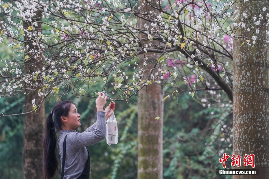 ????,??,副標(biāo)題位于主標(biāo)題下方，通常以破折號(hào)開頭，用于補(bǔ)充或解釋主標(biāo)題內(nèi)容，字體和格式應(yīng)與主標(biāo)題有所區(qū)別。